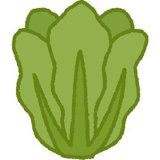 a simple drawing of an upright head of romaine lettuce.